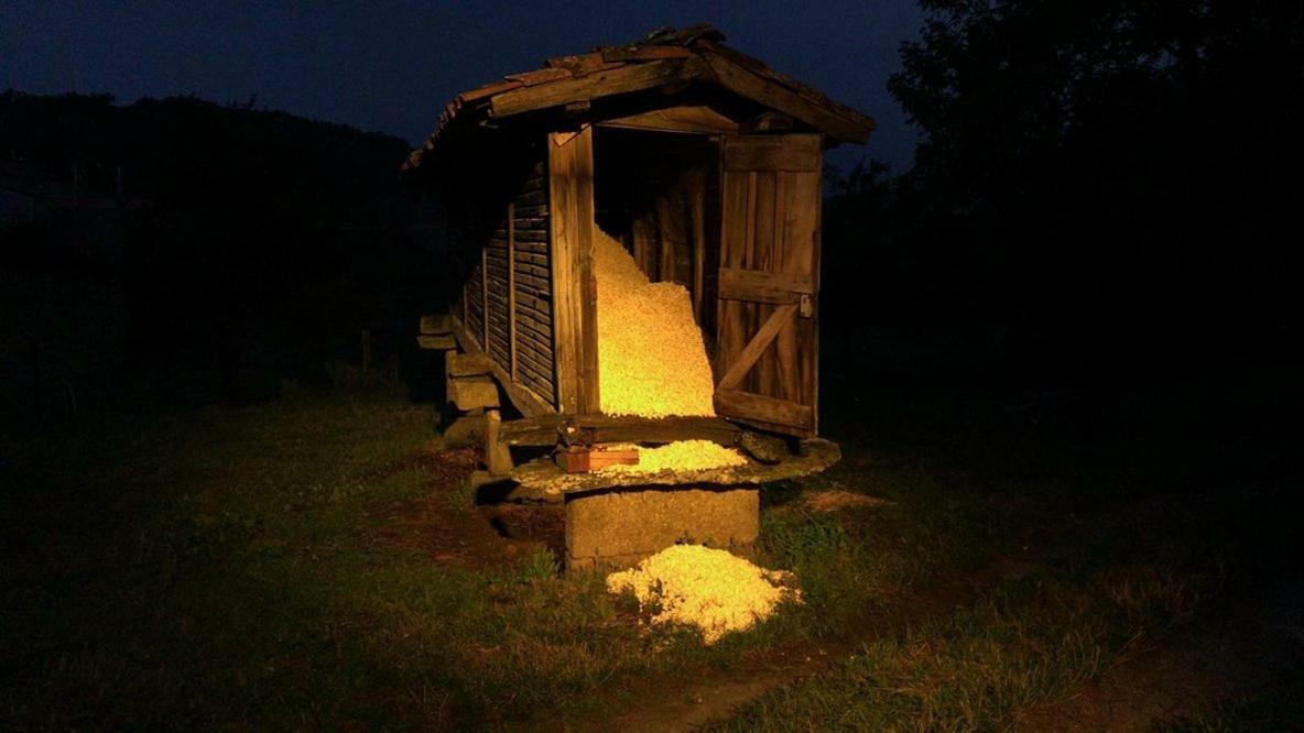 Casa Do Pacio Sabadelle Séjour chez l'habitant Lugo